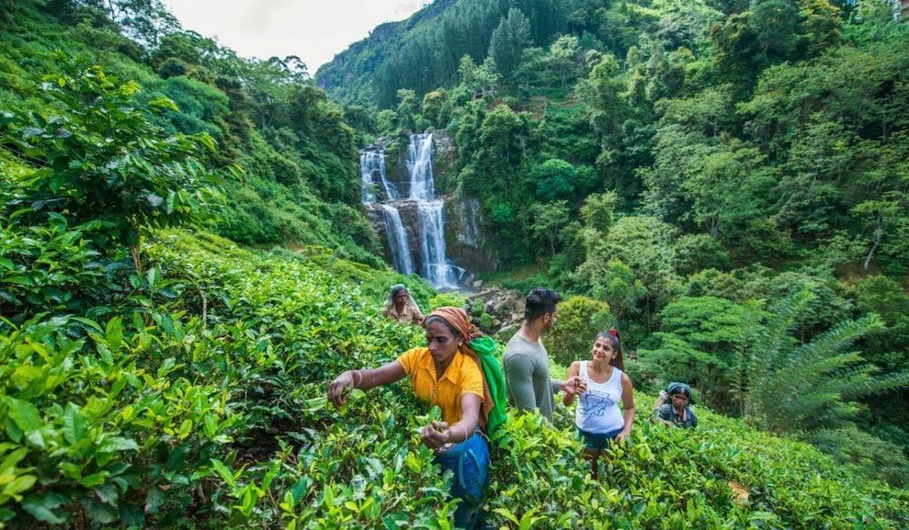 Ramboda Falls Hotel Esterno foto