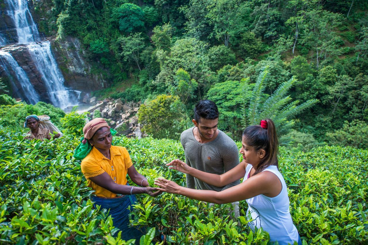 Ramboda Falls Hotel Esterno foto